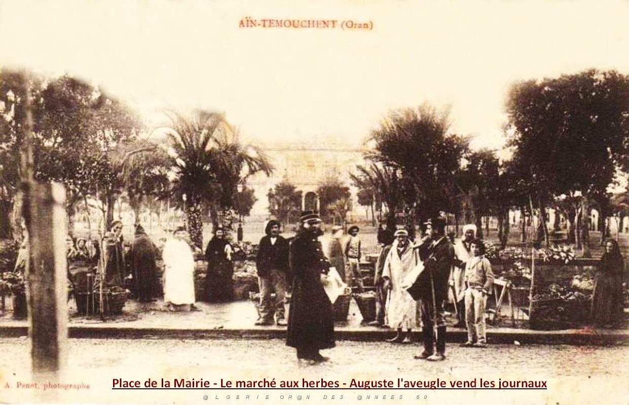 Ain temouchent 066.jpg
